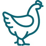 hen