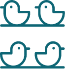 hen
